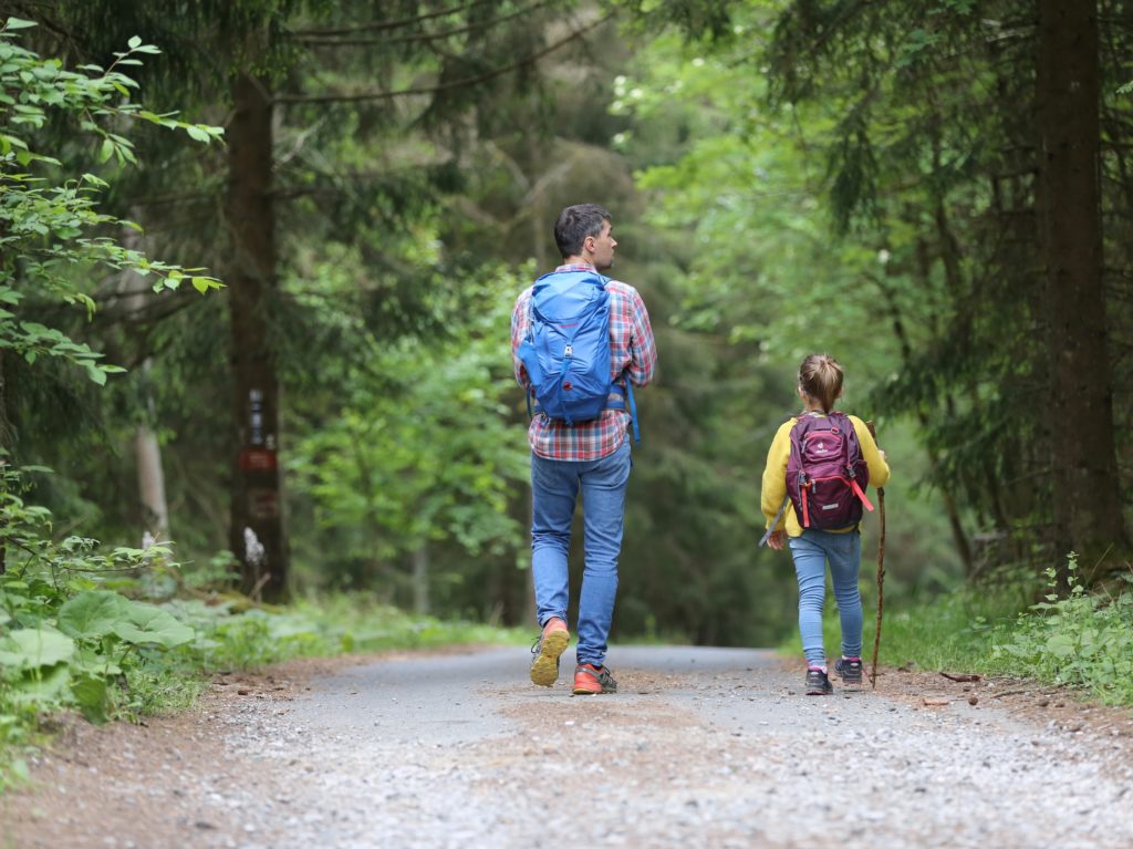 Family Hiking along a trail in the woods.